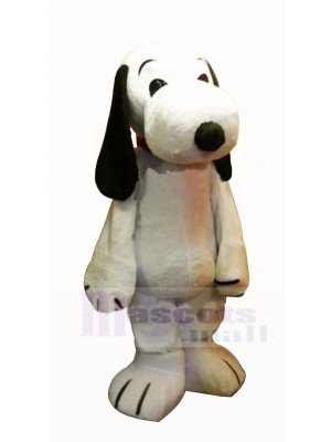 Lindo perro snoopy Disfraz de mascota