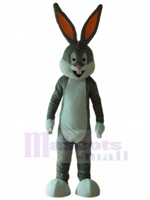 Conejo disfraz de mascota