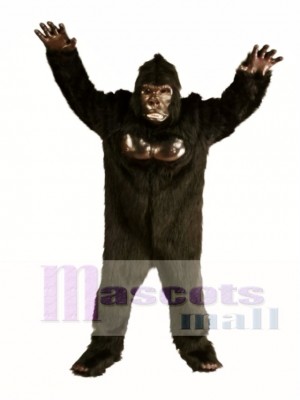 Lindo gorila de lujo Disfraz de mascota