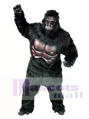 Lindo gorila Disfraz de mascota
