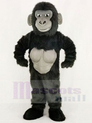 Gorila divertido Disfraz de mascota