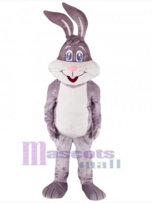 Conejo de Pascua disfraz de mascota