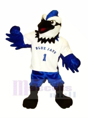 Blue Jay con camiseta blanca Disfraz de mascota