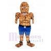 The Thing Ben Grimm disfraz de mascota