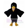 Cuervo pájaro negro Disfraz de mascota