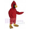 Pájaro cardenal disfraz de mascota