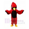 Cardenal ligero Disfraz de mascota