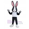 Conejo de Pascua disfraz de mascota
