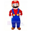 Mario divertido Disfraz de mascota	