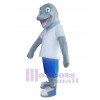 Delfín disfraz de mascota