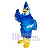 New Blue Jay Disfraz de mascota