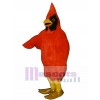 Gran cardenal Disfraz de mascota
