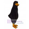 Lindo pájaro negro Disfraz de mascota