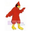 Cardenal rojo feliz Disfraz de mascota