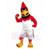 Cardenal pájaro rojo Disfraz de mascota