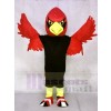 Cardenal rojo Disfraz de mascota