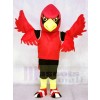 Cardenal rojo con chaleco Disfraz de mascota