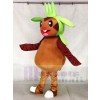 Pokémon Chespin Disfraz de mascota