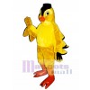 Lindo pájaro pinzón Disfraz de mascota