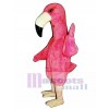 Flamenco lindo Disfraz de mascota