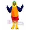 Lindo loro tropical Disfraz de mascota