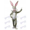 Conejo De Pascua De Bugs Bunny Disfraz de mascota
