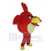 Pájaro enojado rojo disfraz de mascota