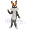 Bugs Bunny disfraz de mascota