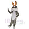 Bugs Bunny disfraz de mascota