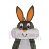 Bugs Bunny disfraz de mascota