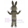 Bugs Bunny disfraz de mascota