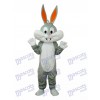 Conejo Disfraz de mascota