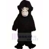 Feroz gorila negro Disfraz de mascota