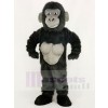 Gorila divertido Disfraz de mascota