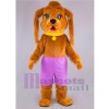 Perro disfraz de mascota