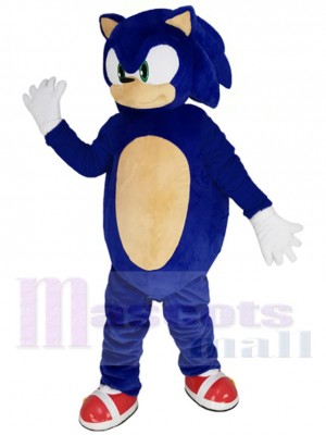 Sonic disfraz de mascota