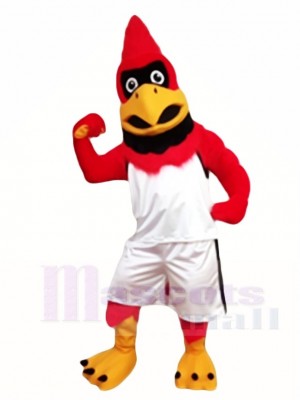 Cardenal pájaro rojo Disfraz de mascota