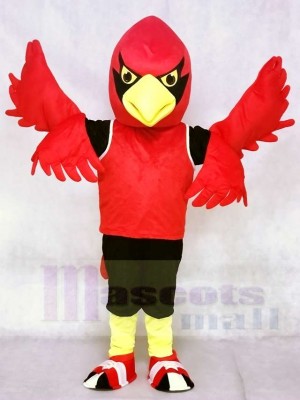 Cardenal rojo con chaleco Disfraz de mascota