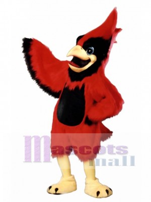 Lindo grande pajaro rojo Disfraz de mascota