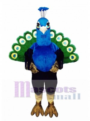 Pavo real lindo Disfraz de mascota