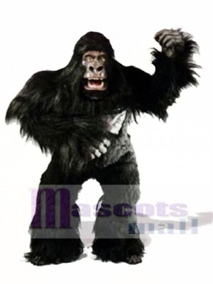 Lindo, simio, gorila Disfraz de mascota