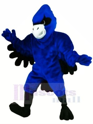 Arrendajo azul con alas negras Disfraz de mascota