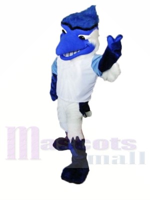 Universidad Blue Jay Disfraz de mascota