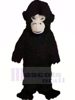 Feroz gorila negro Disfraz de mascota