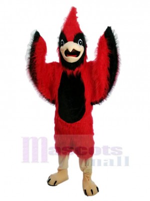 Pájaro Fénix Rojo Disfraz de mascota Animal
