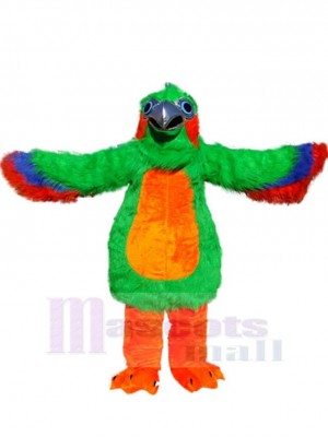 Loro de colores Pájaro Disfraz de mascota Animal