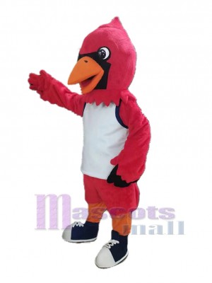 Cardenal Pájaro disfraz de mascota