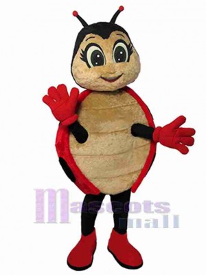 Hermoso Mariquita Disfraz de mascota Insecto