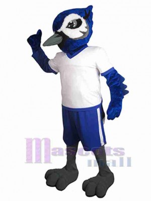 Guay jay Pájaro Disfraz de mascota Animal