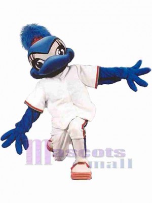 Arrendajo deportivo Pájaro Disfraz de mascota Animal